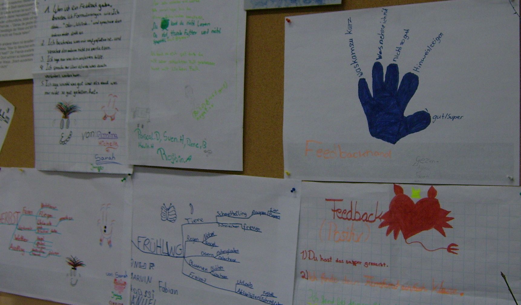 L.Ö.W.E.-Projekt: Pinwand in einem Klassenzimmer mit Mind Map "Frühling" und Regeln zu Feedback.